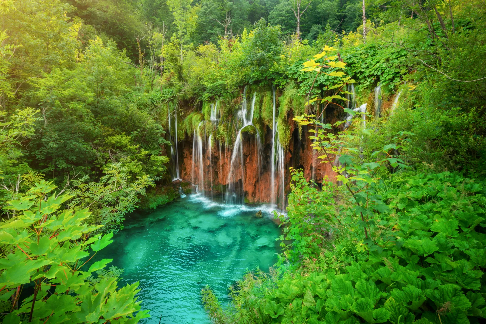 Clean waterfall feeding a turquoise pool in green forest — the natural water cycle that eventually supplies wells and surface water used by livestock