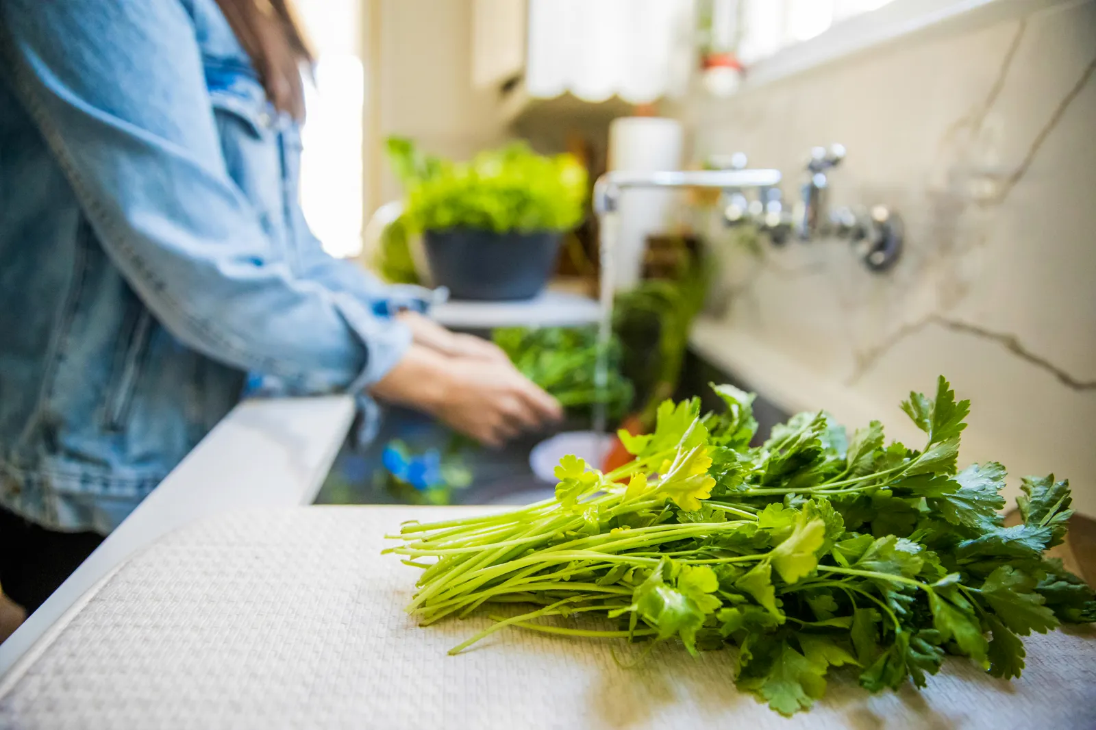 Fresh herbs resting beside a kitchen sink — a reminder that water quality affects everything we cook and drink